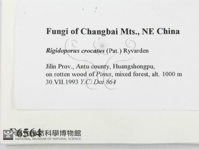 登錄號:F0006564藏品圖，第2張