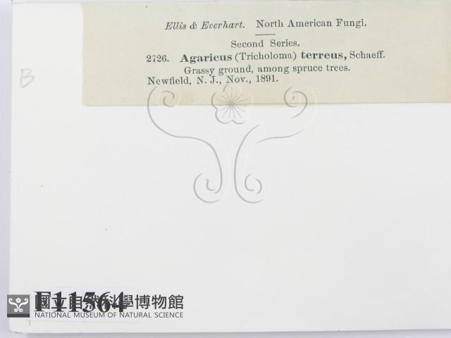 登錄號:F0011564藏品圖，第2張
