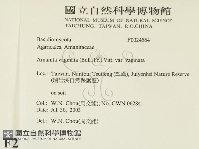 登錄號:F0024564藏品圖，第2張