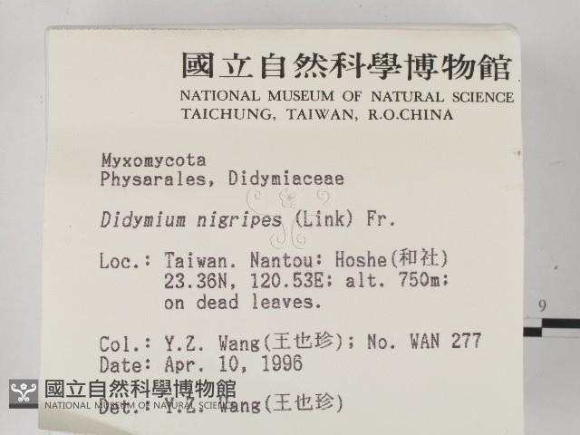 登錄號:F0004564藏品圖，第2張