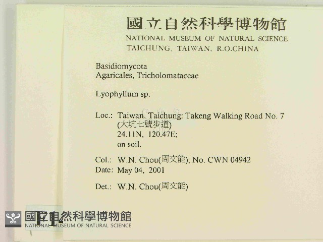 登錄號:F0014564藏品圖，第2張