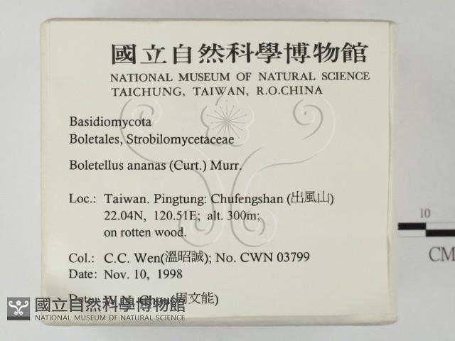登錄號:F0012564藏品圖，第2張