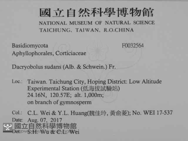 登錄號:F0032564藏品圖，第2張