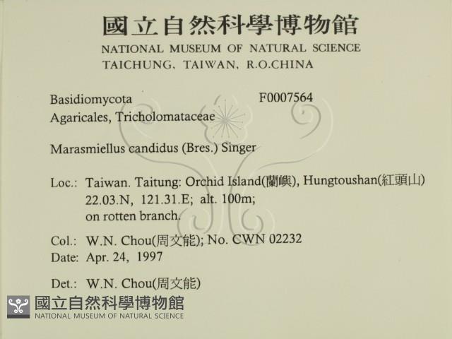 登錄號:F0007564藏品圖，第2張