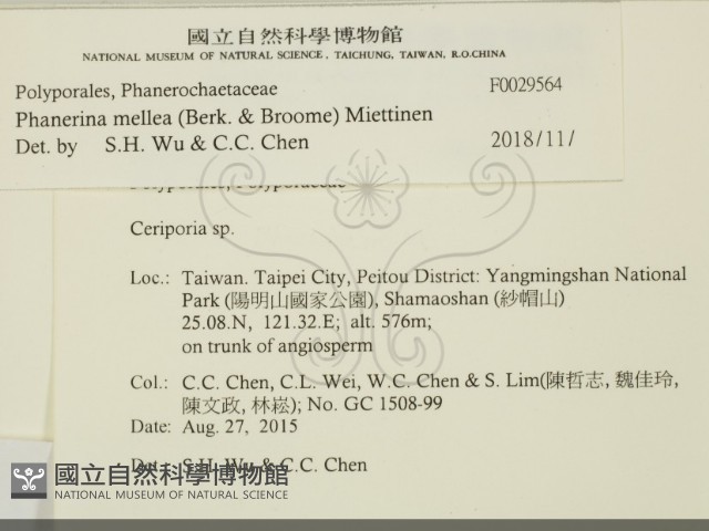 登錄號:F0029564藏品圖，第2張