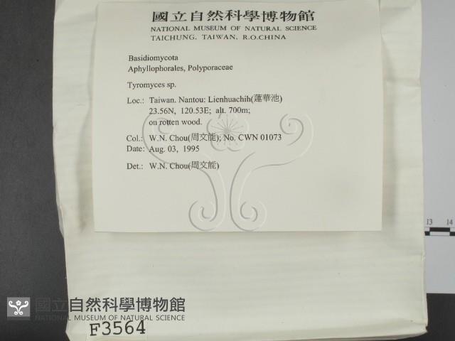 登錄號:F0003564藏品圖，第2張