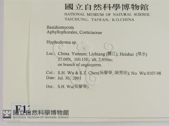 絲皮菌屬藏品圖，第2張