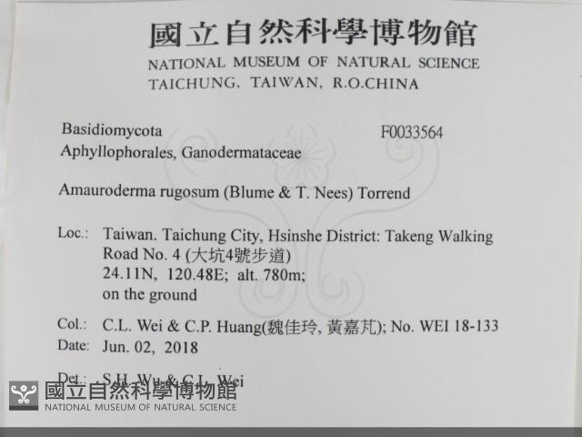 登錄號:F0033564藏品圖，第2張
