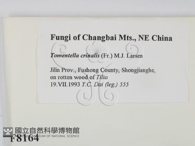 登錄號:F0008164藏品圖，第2張