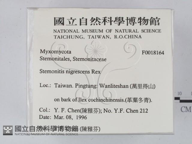 登錄號:F0018164藏品圖，第2張