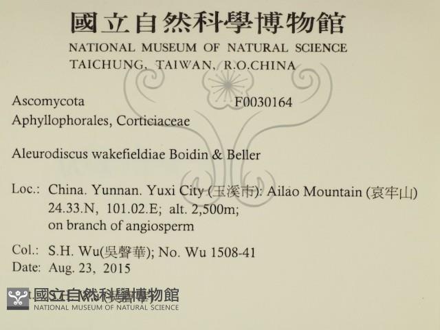 登錄號:F0030164藏品圖，第2張