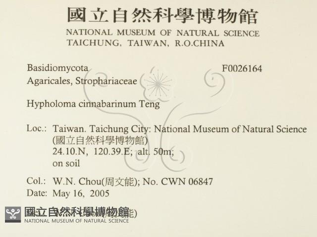 登錄號:F0026164藏品圖，第2張