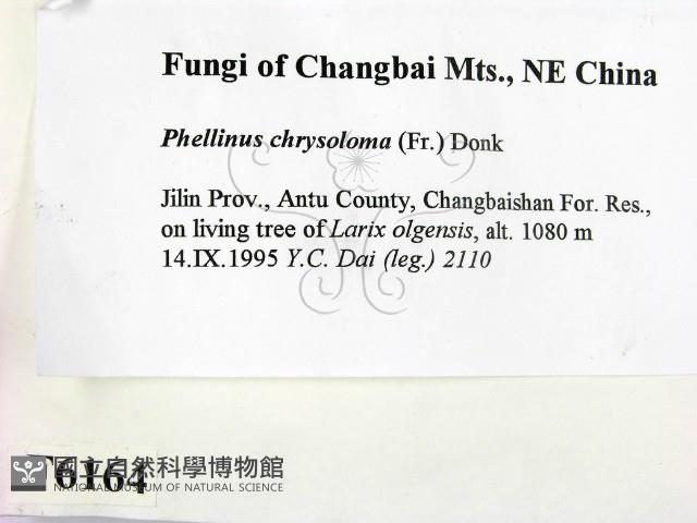 登錄號:F0006164藏品圖，第2張