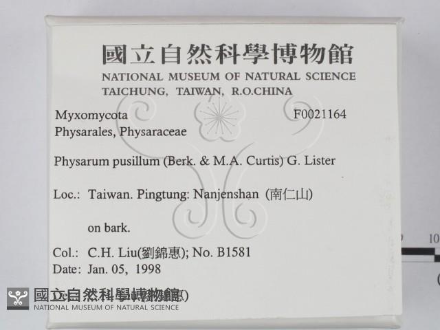 登錄號:F0021164藏品圖，第2張