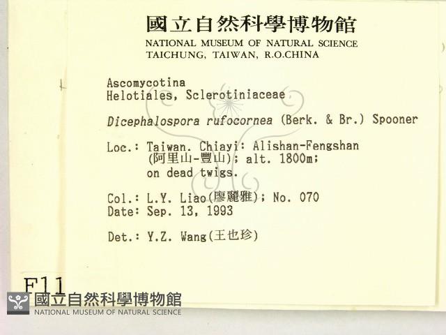 登錄號:F0001164藏品圖，第2張