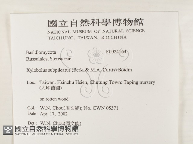 登錄號:F0024164藏品圖，第2張