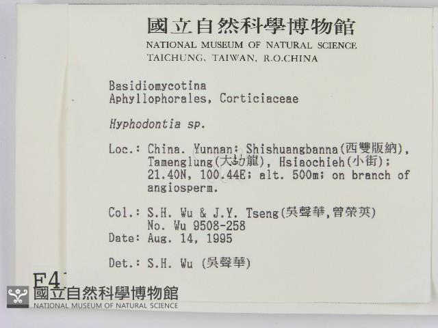 登錄號:F0004164藏品圖，第2張