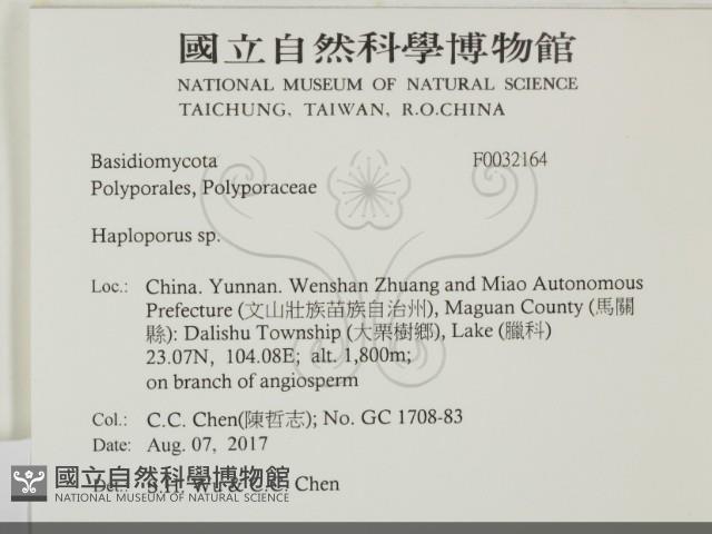 登錄號:F0032164藏品圖，第2張