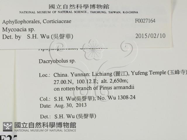 登錄號:F0027164藏品圖，第2張