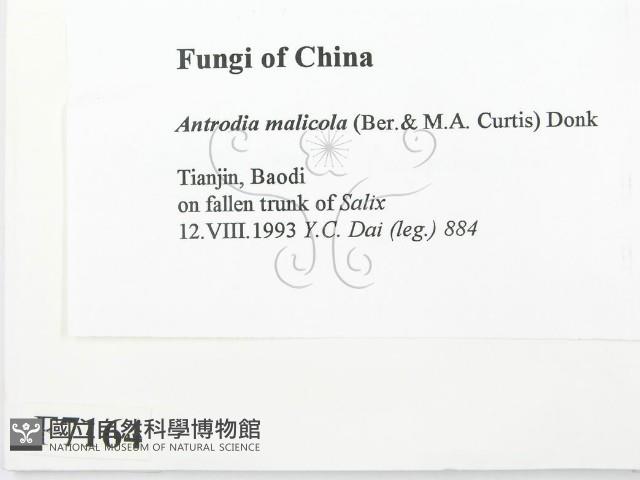 登錄號:F0007164藏品圖，第2張