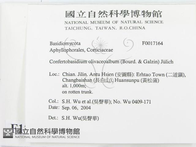 登錄號:F0017164藏品圖，第2張