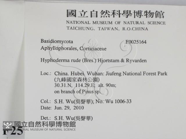 登錄號:F0025164藏品圖，第2張