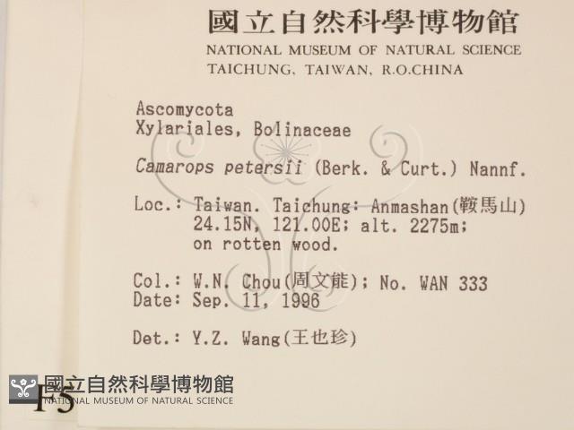 登錄號:F0005164藏品圖，第2張