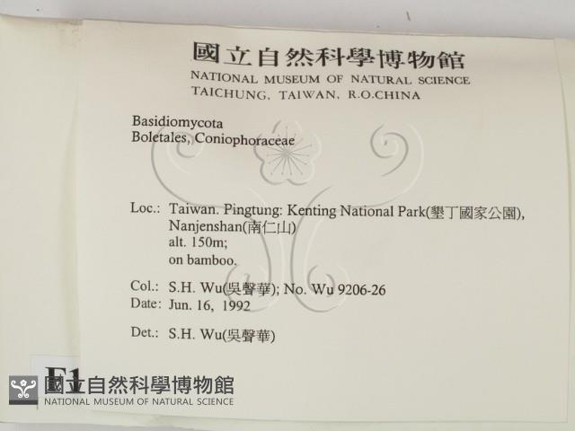 登錄號:F0015164藏品圖，第2張