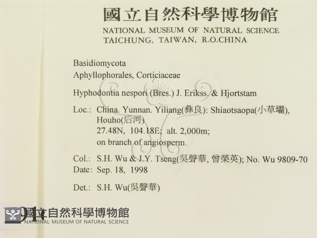 登錄號:F0009164藏品圖，第2張