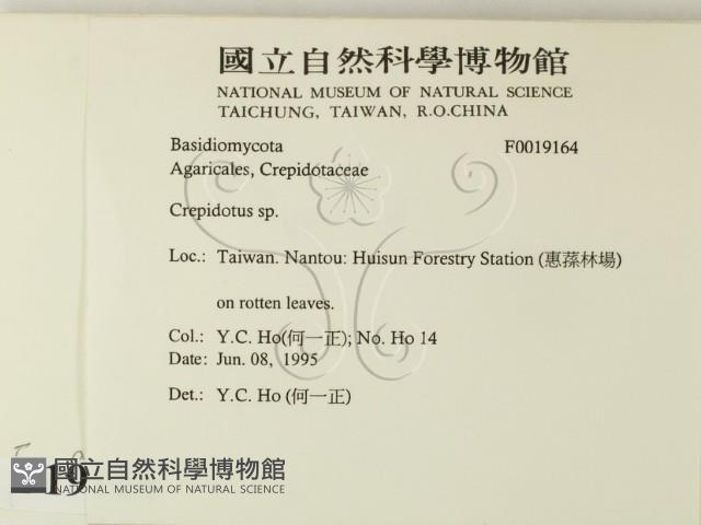 登錄號:F0019164藏品圖，第2張