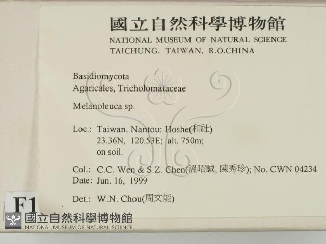 登錄號:F0013164藏品圖，第2張