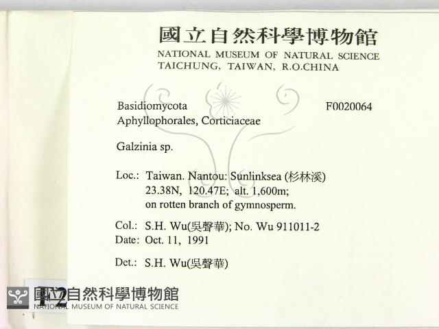 登錄號:F0020064藏品圖，第2張
