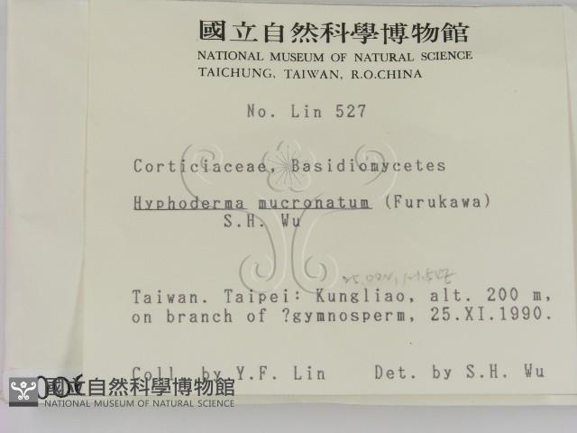 登錄號:F0000064藏品圖，第2張