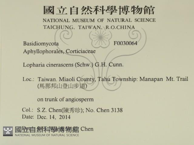 登錄號:F0030064藏品圖，第2張