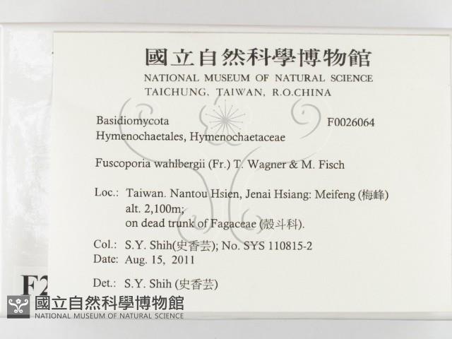 登錄號:F0026064藏品圖，第2張