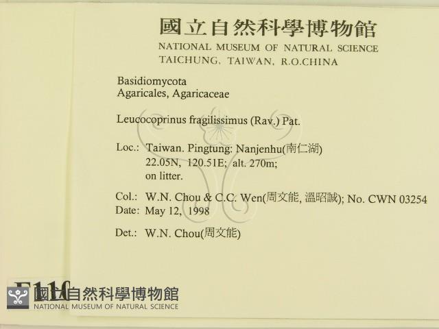 登錄號:F0011064藏品圖，第2張