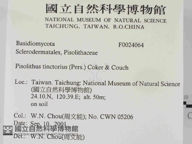 登錄號:F0024064藏品圖，第2張