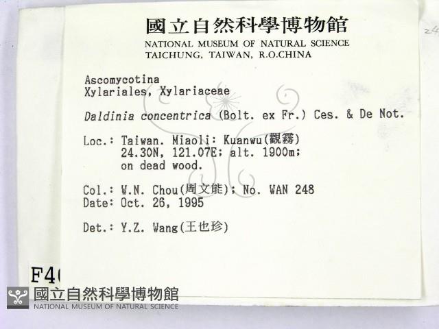 登錄號:F0004064藏品圖，第2張