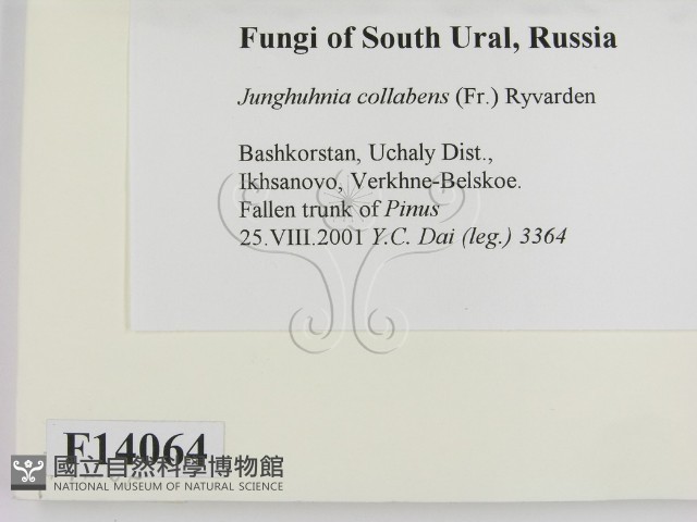 登錄號:F0014064藏品圖，第2張