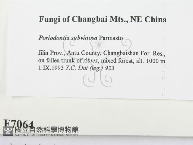 登錄號:F0007064藏品圖，第2張