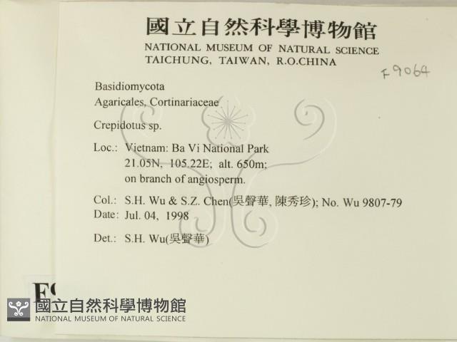 登錄號:F0009064藏品圖，第2張