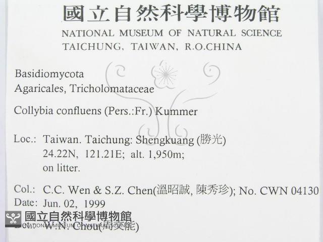 登錄號:F0013064藏品圖，第2張