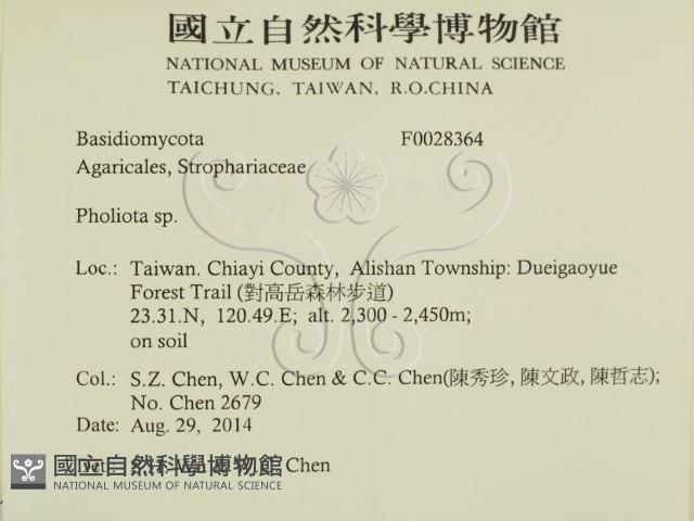 登錄號:F0028364藏品圖，第2張