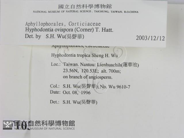 登錄號:F0010364藏品圖，第2張