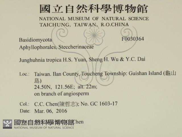 登錄號:F0030364藏品圖，第2張