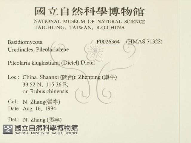 登錄號:F0026364藏品圖，第2張