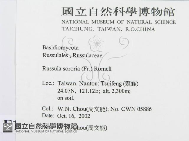 登錄號:F0016364藏品圖，第2張