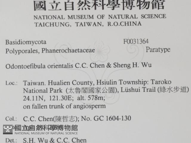 登錄號:F0031364藏品圖，第2張