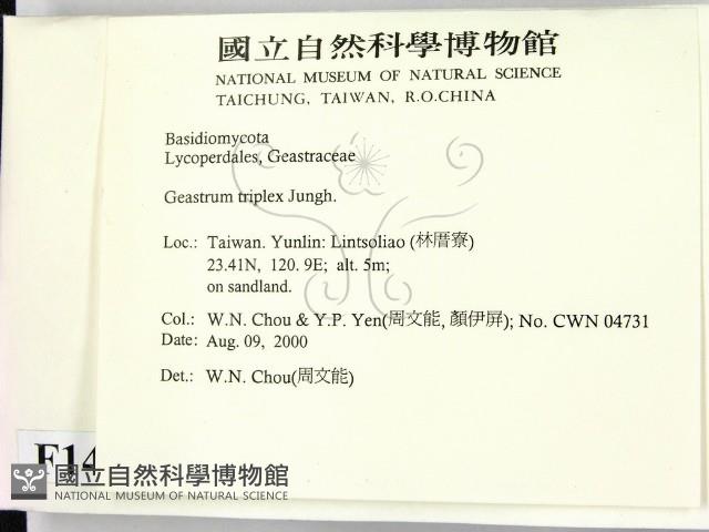 登錄號:F0014364藏品圖，第2張
