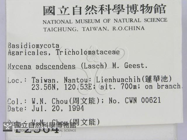 登錄號:F0002364藏品圖，第2張